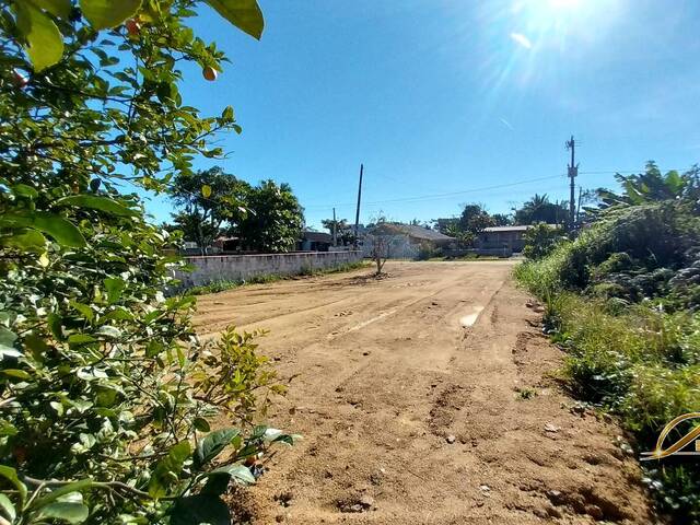Área para Venda em Balneário Barra do Sul - 3