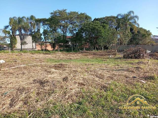 Área para Venda em Balneário Barra do Sul - 5