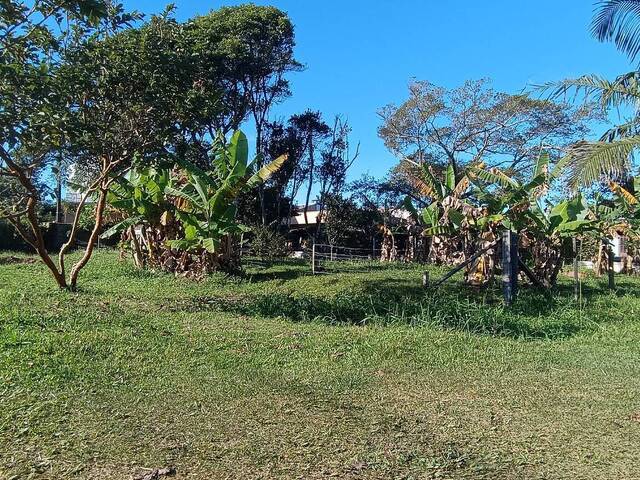 Terreno para Venda em Balneário Barra do Sul - 3